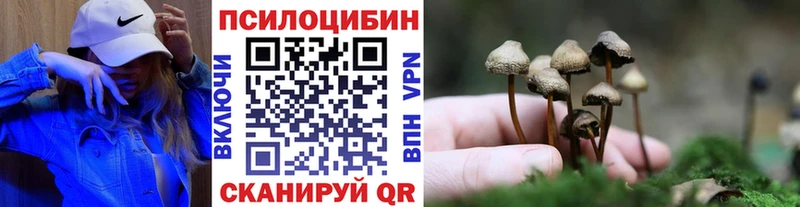 мориарти наркотические препараты  что такое наркотик  Усолье  Псилоцибиновые грибы Cubensis  blacksprut зеркало 